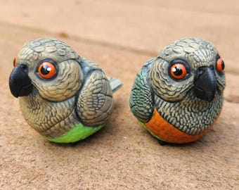 Red Bellied Parrot Borb Figure - Hand Painted Resin Bird Figure