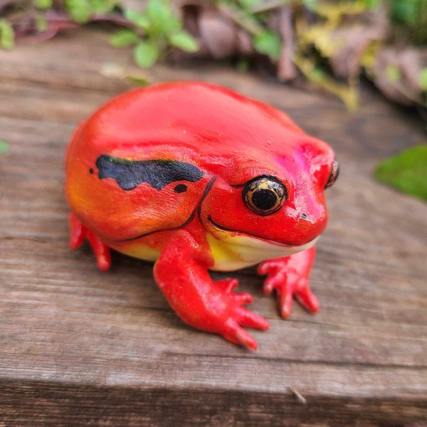 Tomato Frog Figure - Realistic Hand painted Resin Frog - Cute Desk Pet  Sculpture