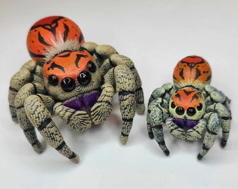 Large Regal Jumping Spider Figure - Hand Painted Resin Spider