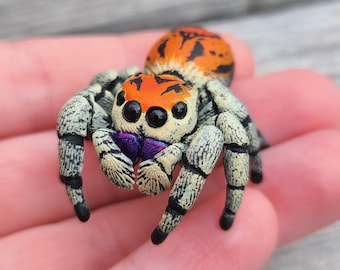 Regal Jumping Spider Figure - Red Phase Phidippus regius - Hand Painted Resin Spider