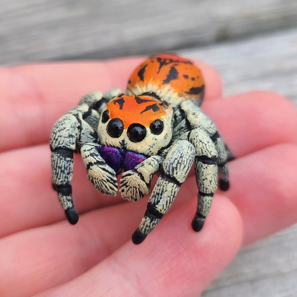 Araignée sauteuse royale - Phidippus regius phase rouge - Araignée en résine peinte à la main