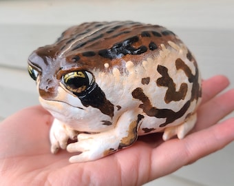 カエル型フィギュア 手のひらサイズ 巨大サイズのローズの雨蛙フィギュア - 手描きのリアルな樹脂製