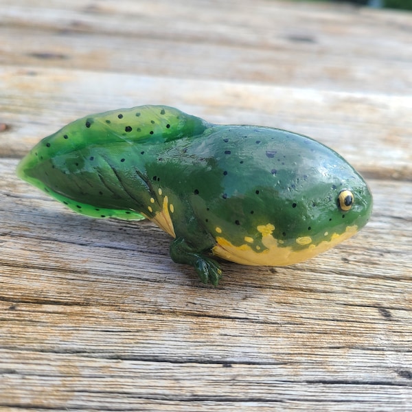 American Bullfrog Tadpole Figure - Hand painted Realistic Resin Frog - Cute Desk Pet  Sculpture