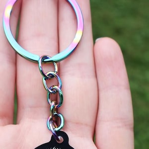 May include: A black and white jumping spider keychain with pink eyes and green fangs. The keychain is attached to a rainbow iridescent metal ring and chain.