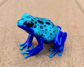 ブルーポイズンダートフロッグ - 手描き樹脂製カエルの置物 - Etsy 日本