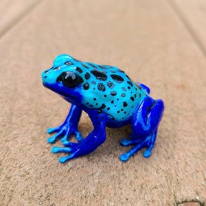 May include: A blue and black poison dart frog figurine. The frog is sitting on a brown surface.