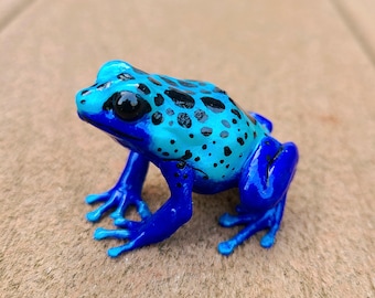 青いヤドクガエル - 手描き樹脂製カエルの置物 - Etsy 日本