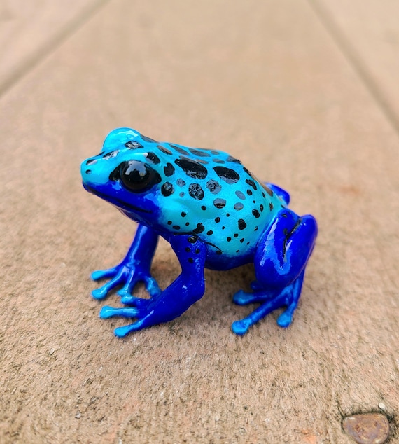 ブルーポイズンダートフロッグ - 手描き樹脂製カエルの置物 - Etsy 日本