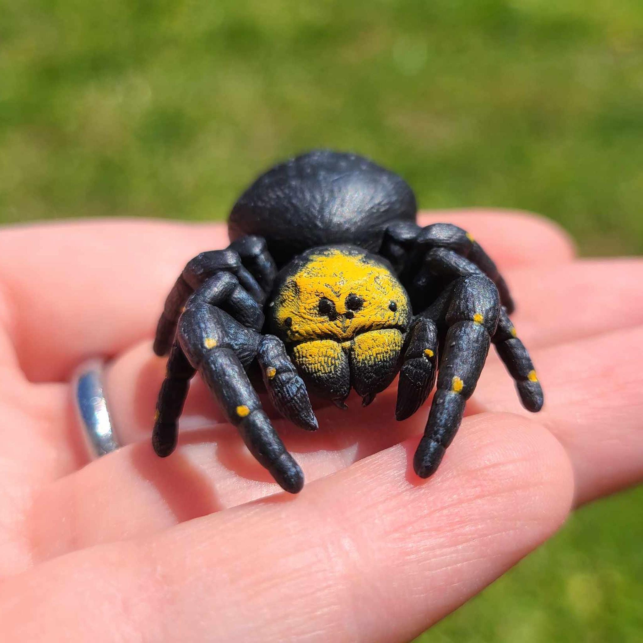 Gold Face Velvet Spider Figure - Eresus Moravicus - Hand