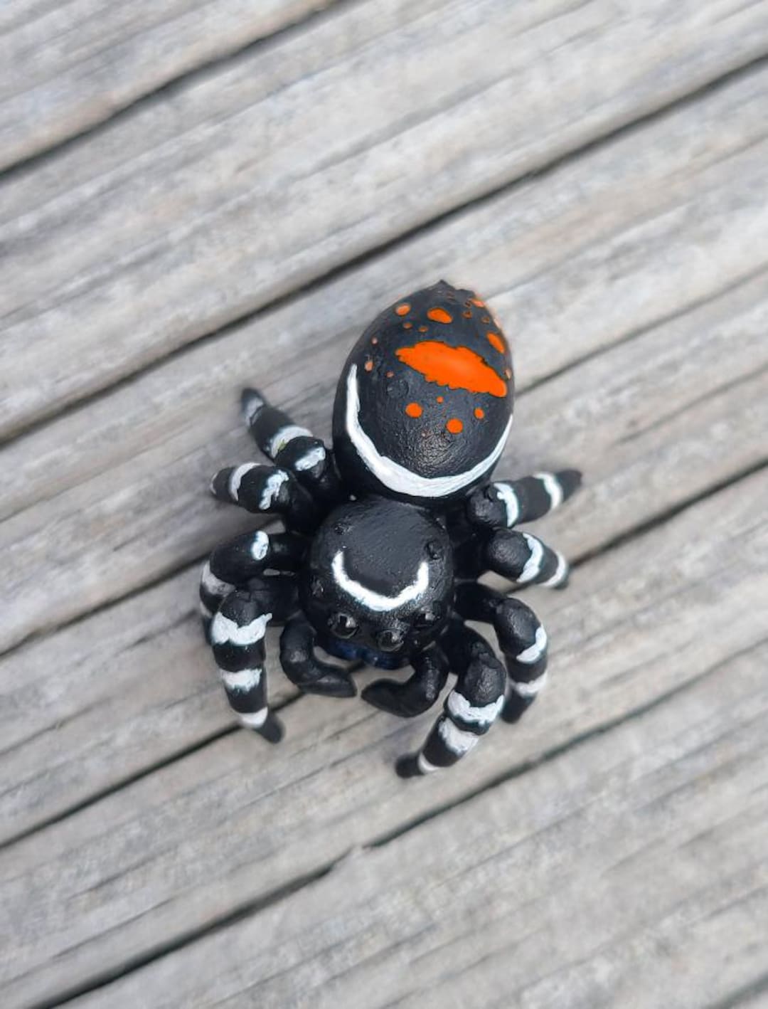 Pumpkin Bold Jumping Spider Figure - Phidippus Audax - Hand