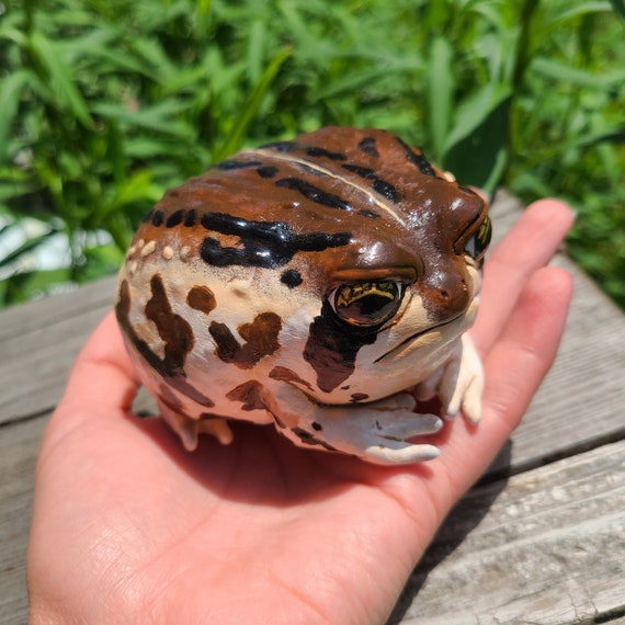 巨大サイズのローズの雨蛙フィギュア - 手描きのリアルな樹脂製カエル