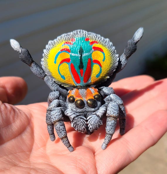 クジャクハエトリグモのフィギュア - オス Maratus volans - 手描き