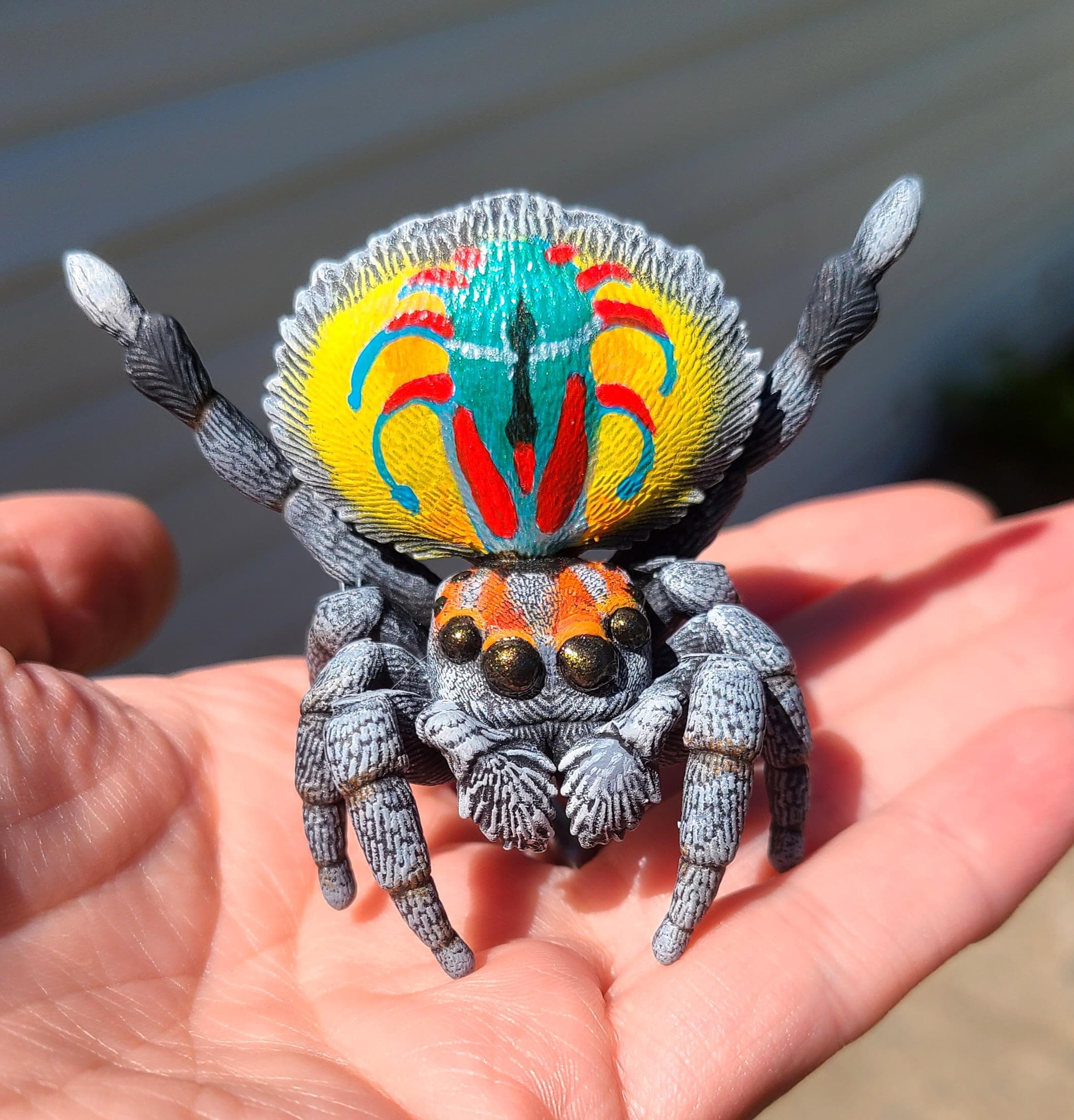 Peacock Jumping Spider Figure - Male Maratus Volans - Hand Painted