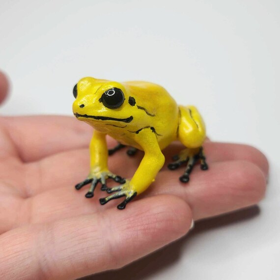 ゴールデンダートフロッグ - 手描き樹脂製カエルの置物 - Etsy 日本