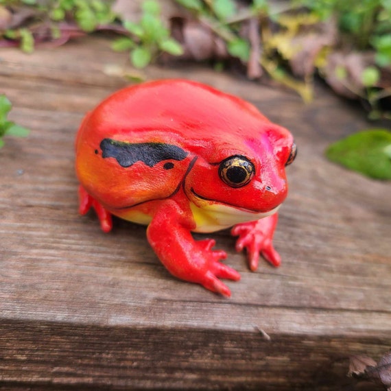 Tomato Frog Figure Realistic Hand Painted Resin Frog Cute Desk Pet  Sculpture 
