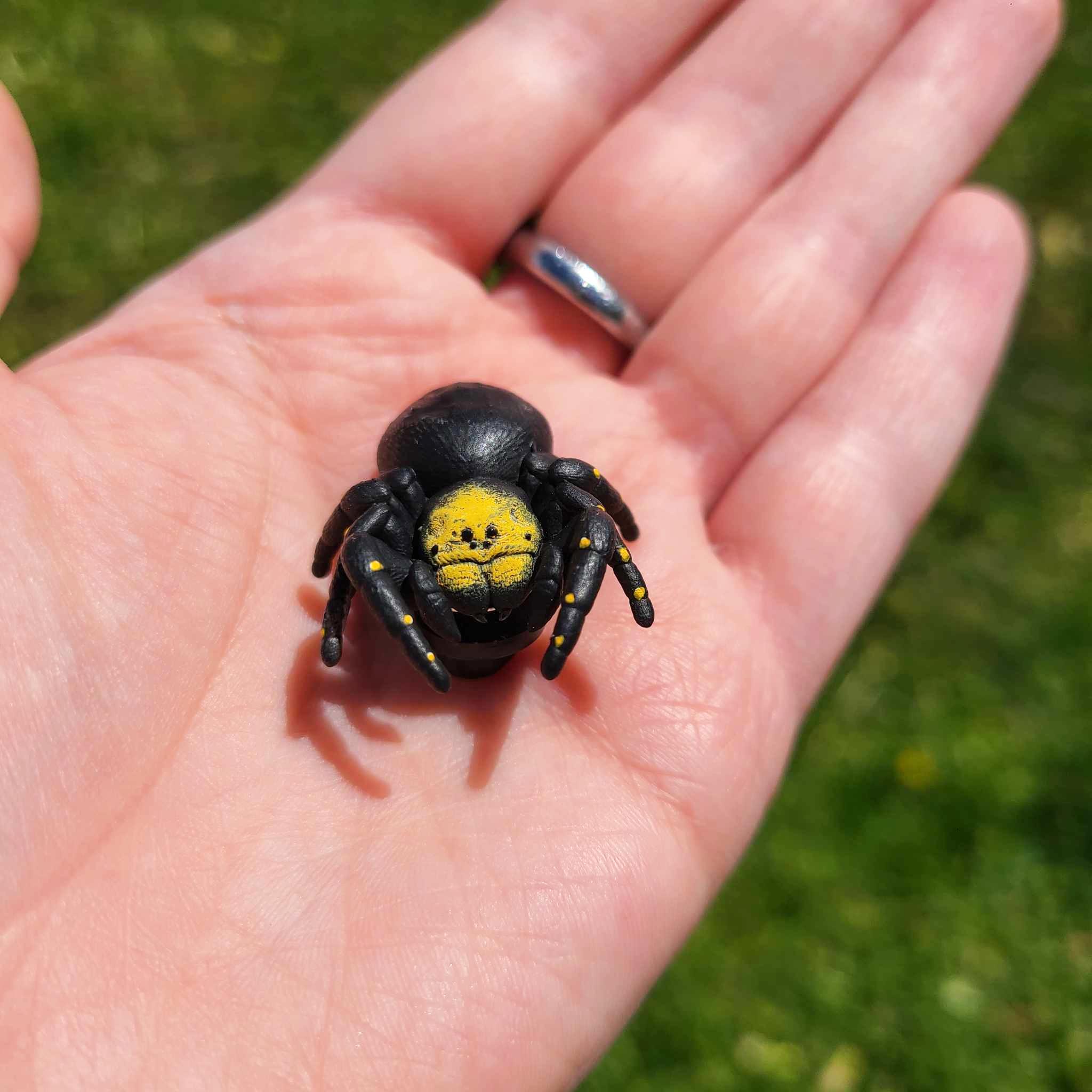 Velvet Spider Pin - Multiple Species - Hand Painted Resin Spider