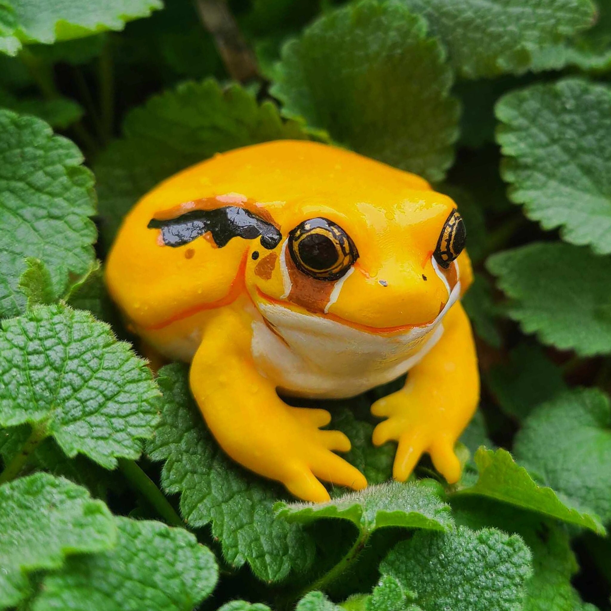 Male Yellow Tomato Frog Figure - Realistic Hand Painted Resin Frog