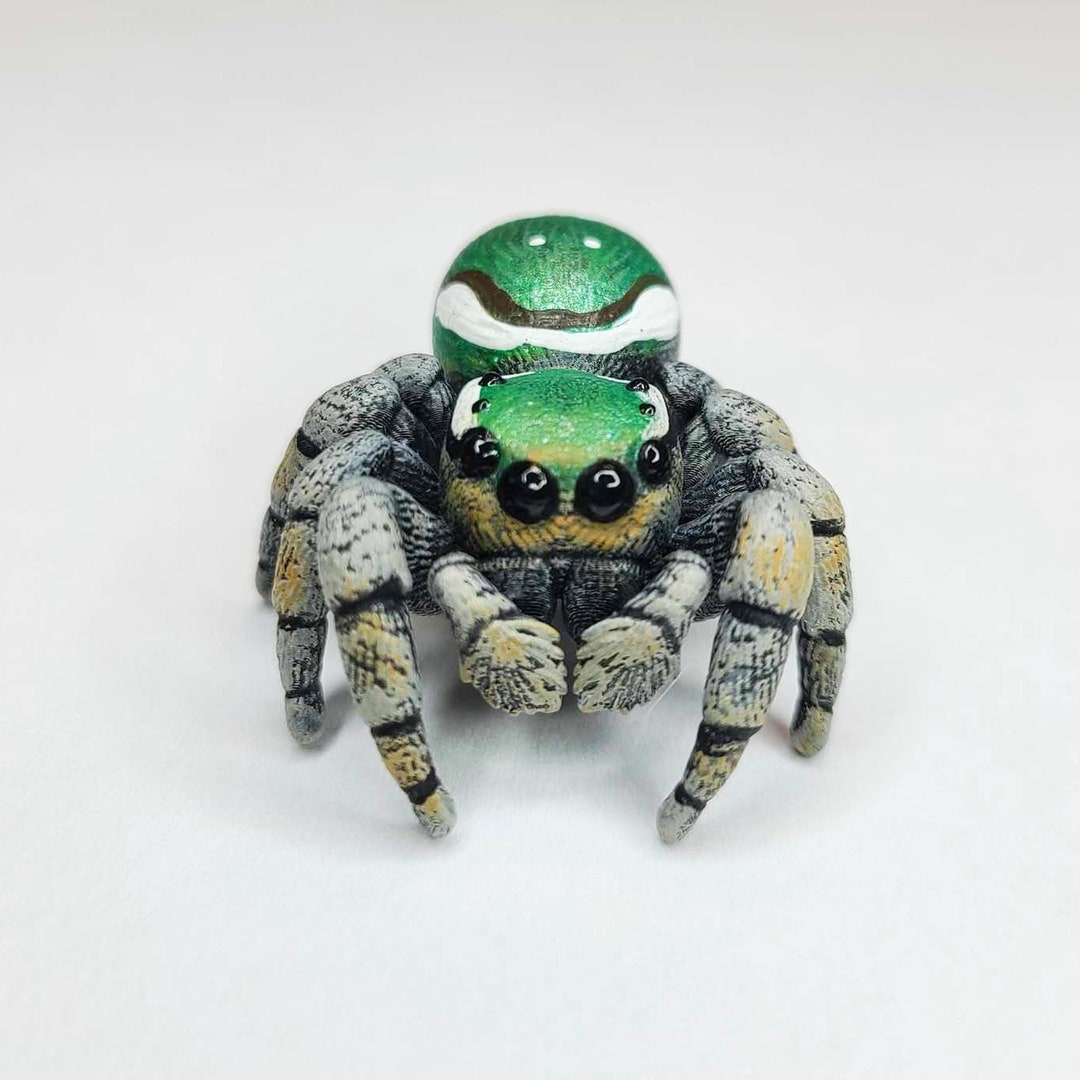 Emerald Jumping Spider Figure - Paraphidippus Aurantius - Hand