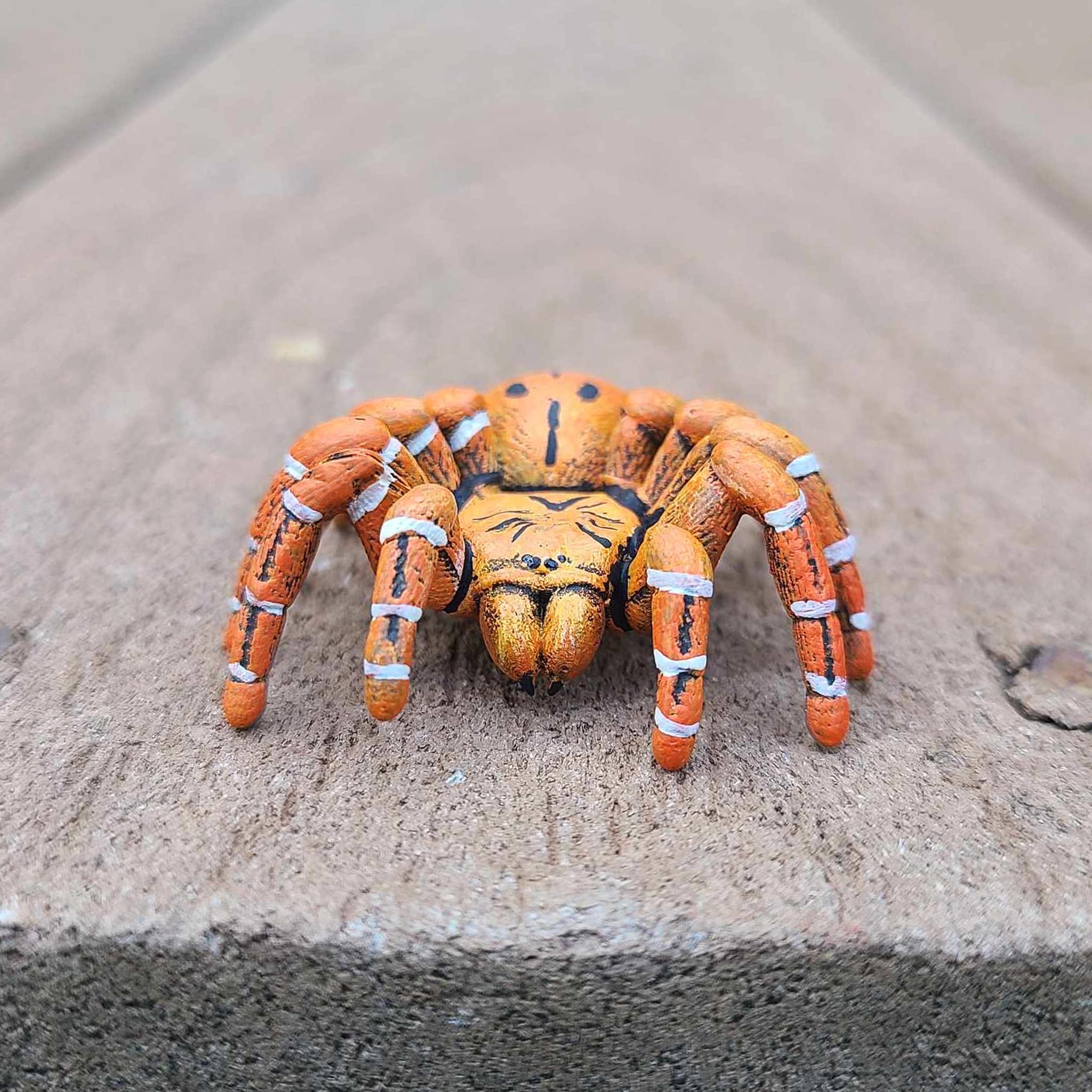OBT オレンジバブーンタランチュラ - Pterinochilus murinus - 手描き