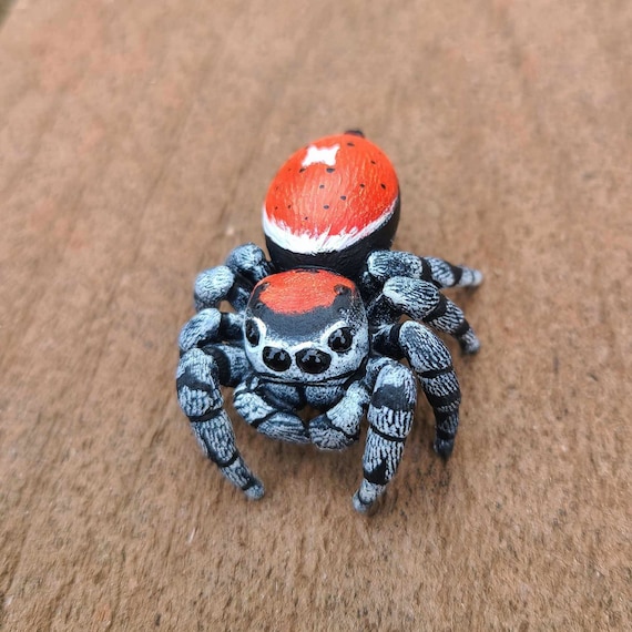 California Red Jumping Spider Figure- Male Phidippus Adumbratus