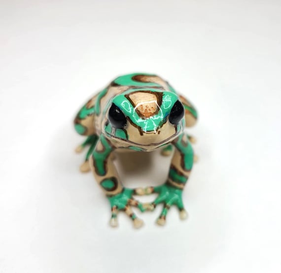 ハイランドブロンズ ダートフロッグ - Dendrobates auratus - 手描き