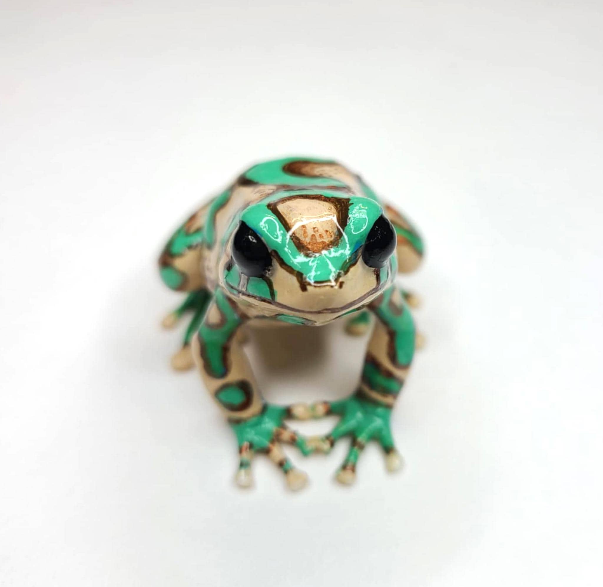 ハイランドブロンズ ダートフロッグ - Dendrobates auratus - 手描き