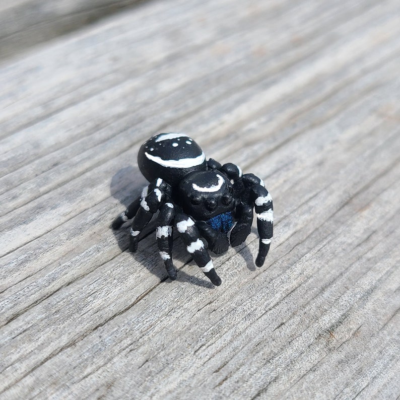 May include: A black and white jumping spider figurine with blue accents. The spider has a round body with white markings and long, thin legs.