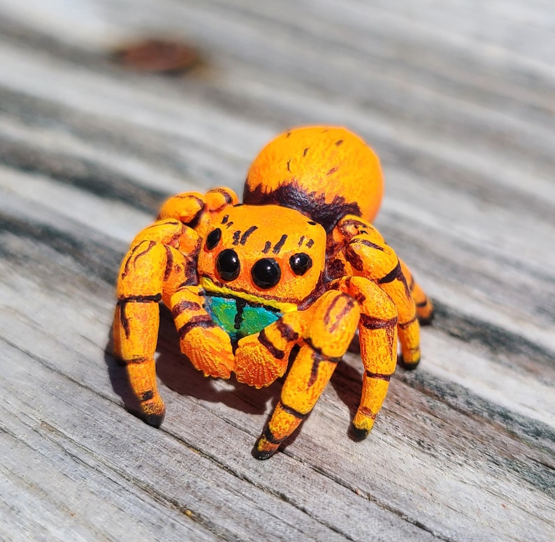 May include: A hand-painted orange and black jumping spider figurine with large, black eyes. The spider has a green and blue abdomen.