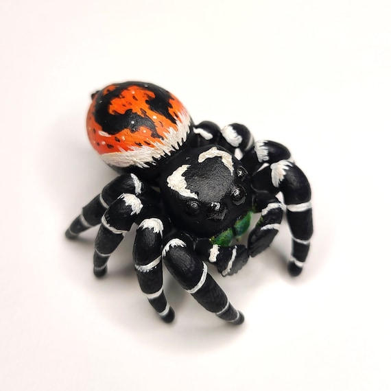Bold Jumping Spider Figure - Bryantae Form - Phidippus Audax