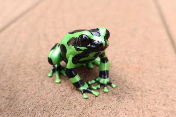 Green and Black Dart Frog- Dendrobates Auratus- Hand Painted Resin