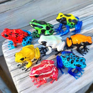 May include: A collection of eight hand-painted frog figurines in various colors, including red, yellow, blue, green, white, orange, and black. The frogs are posed in a variety of positions, with some sitting, some standing, and some jumping.