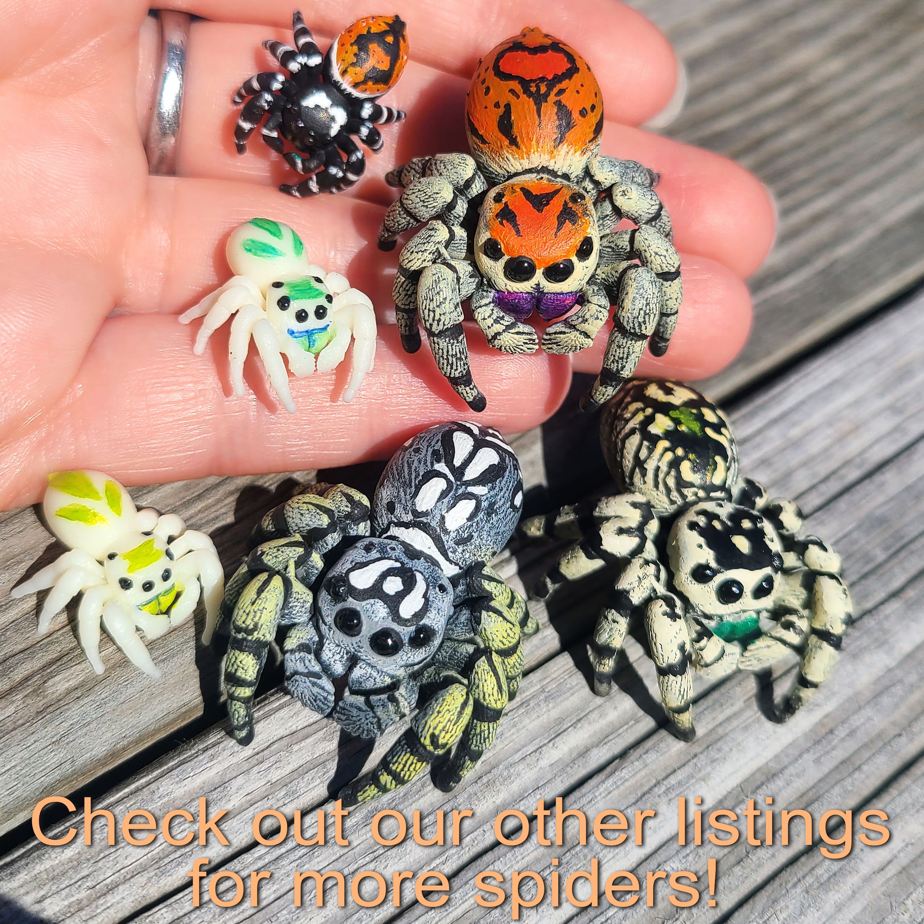 Bold Jumping Spider Necklace - Phidippus Audax - Hand Painted