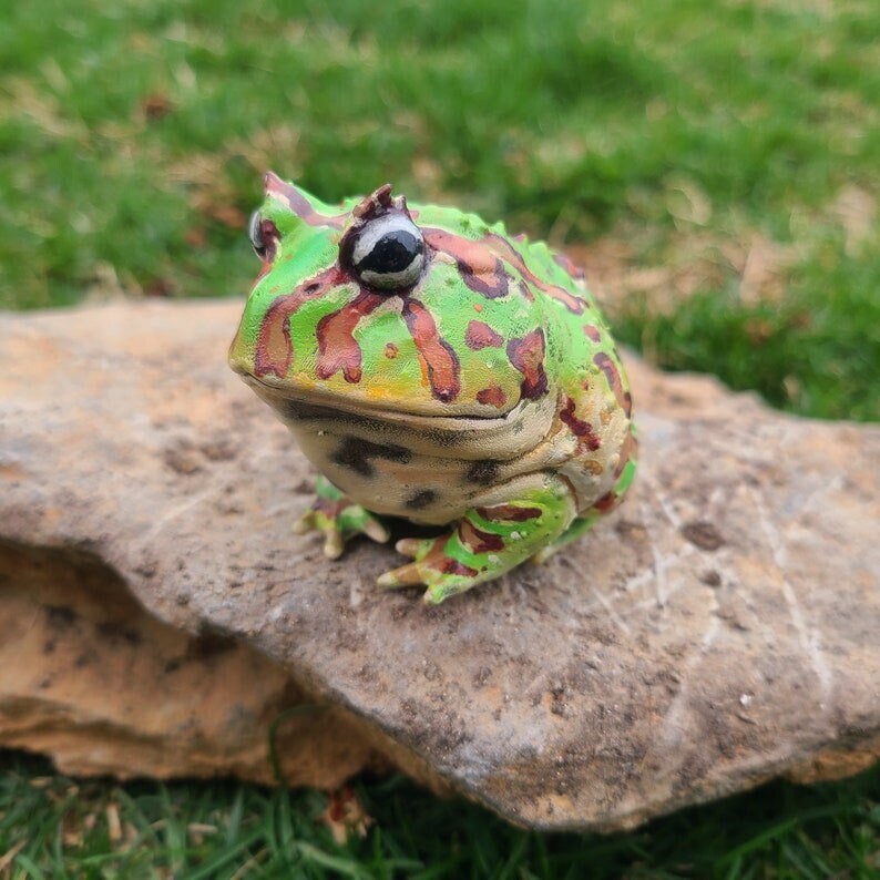 CUSTOM Pacman Frog Figure Realistic Handpainted Resin - Based on