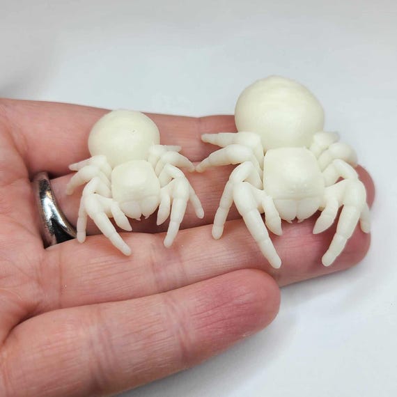 Velvet Spider Figure - Eresus Walckenaeri Ladybird Spider - Hand