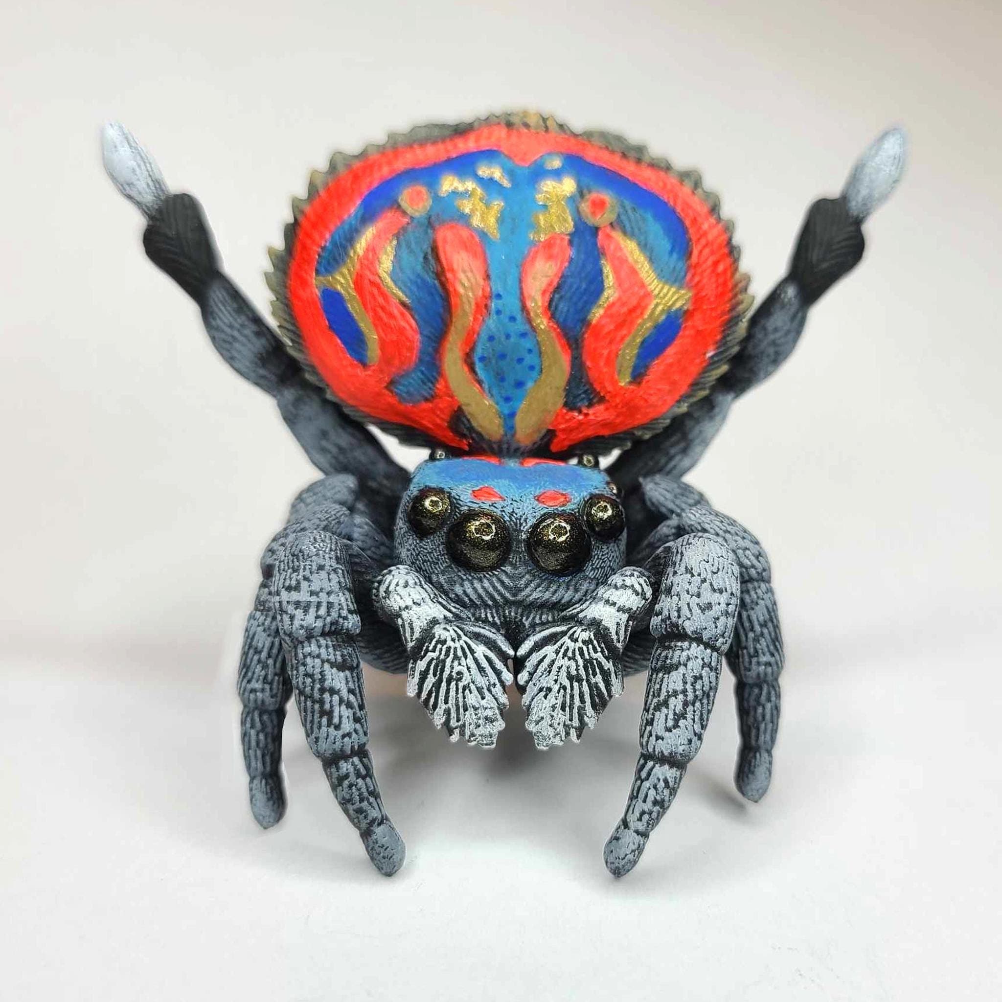 Peacock Jumping Spider Figure - Male Maratus Elephans - Hand