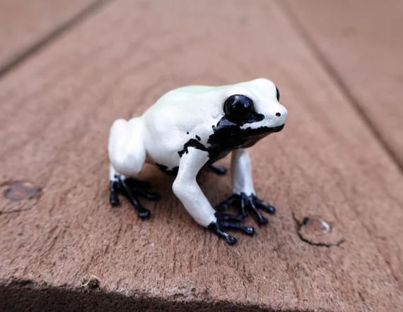 ヤドクガエル - 手描き樹脂製カエルの置物 - 複数種 - Etsy 日本