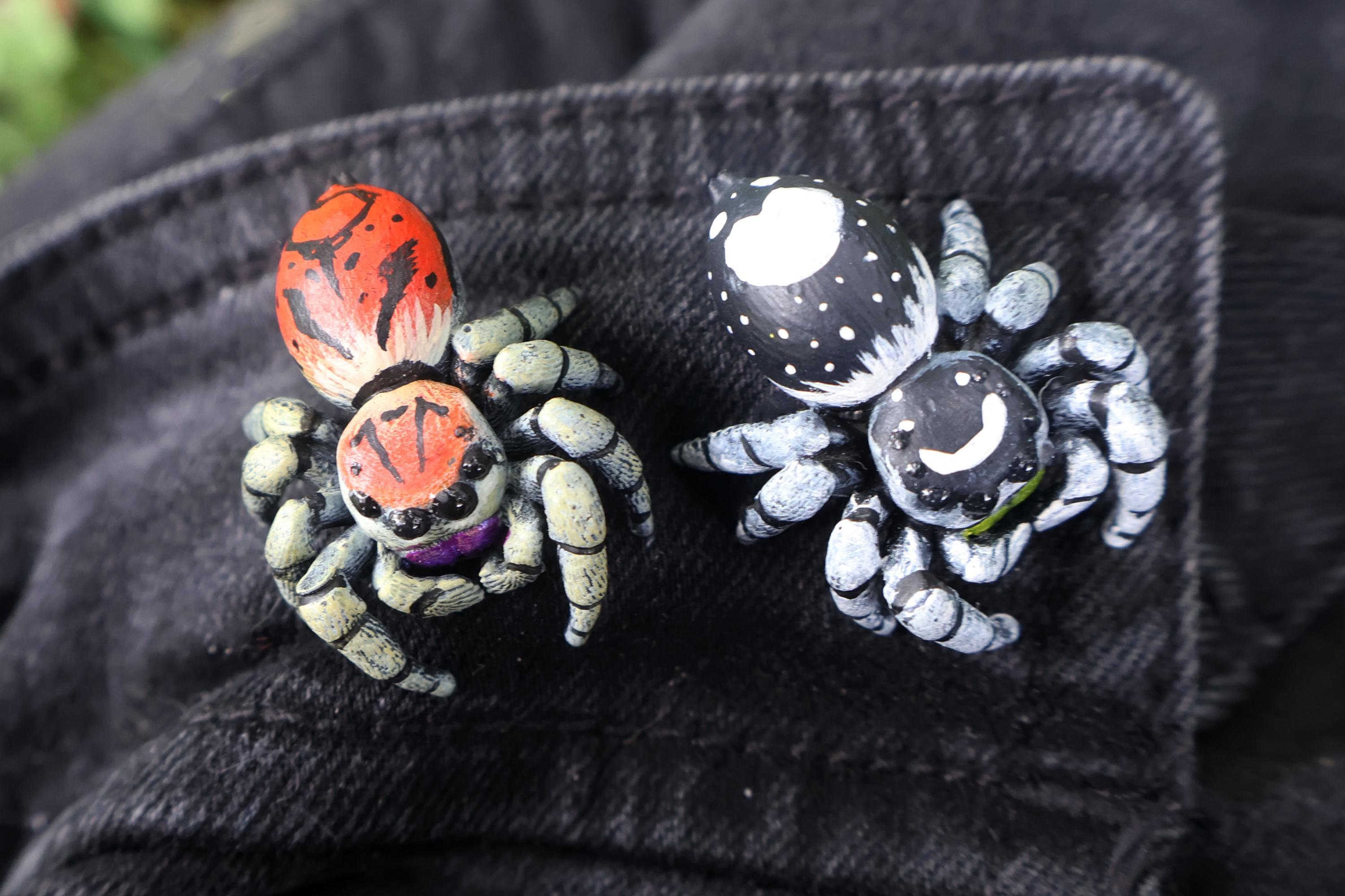 Jumping Spider Pin - Multiple Species - Hand Painted Resin Spider