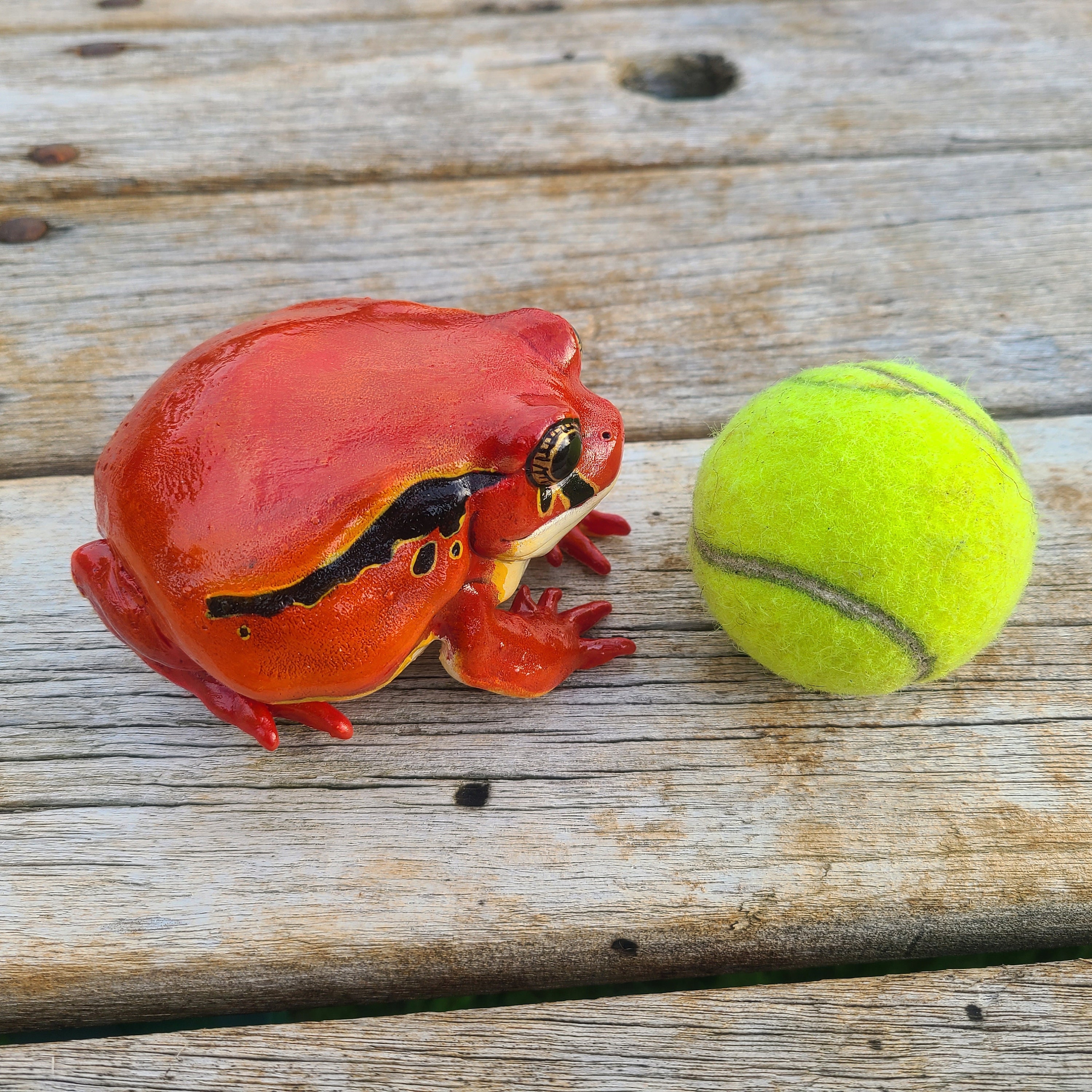 巨大な家宝トマトカエルのフィギュア - リアルな手描きの樹脂カエル