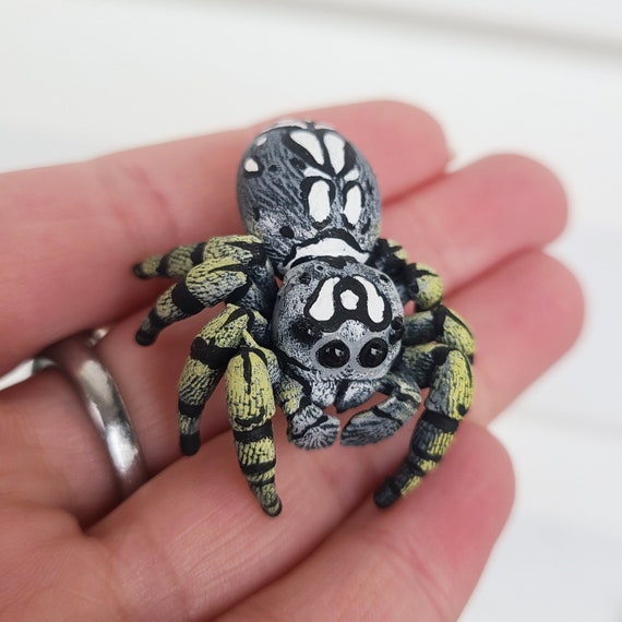 まつ毛の高いハエトリグモのフィギュア - Phidippus mystaceus