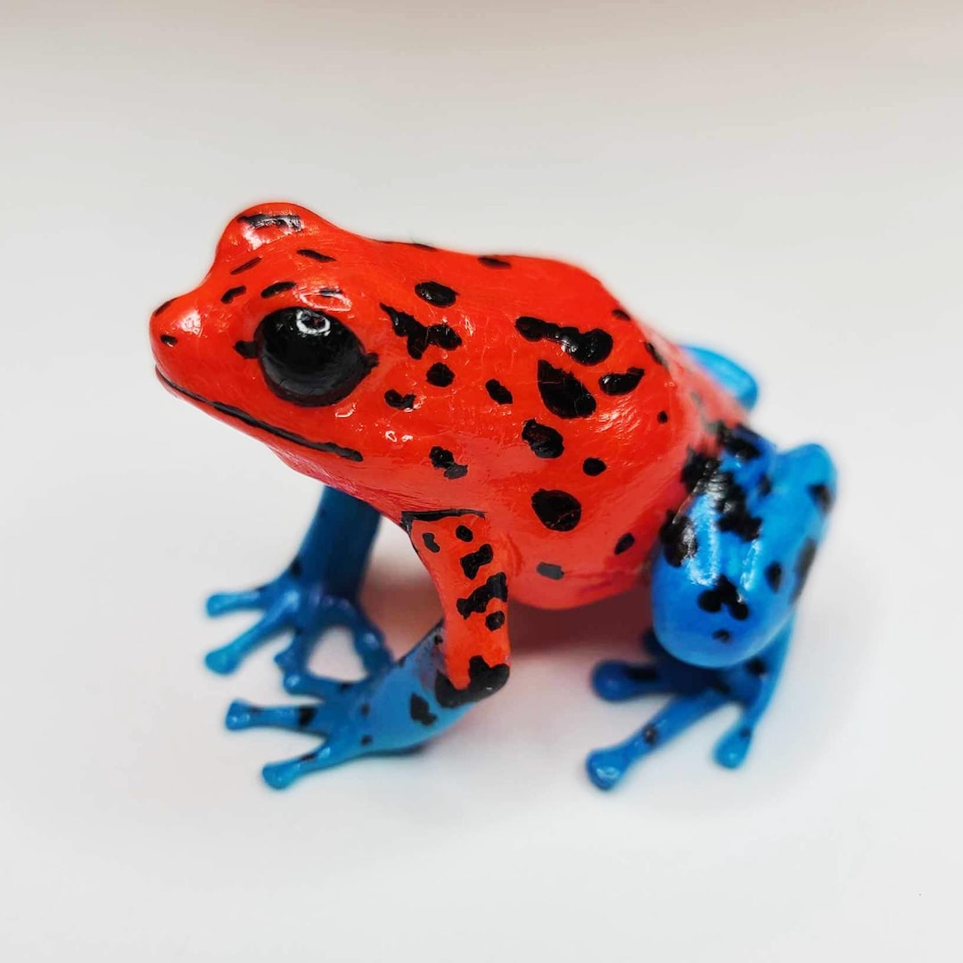 Strawberry Poison Dart Frog- Hand Painted Resin Frog Figurine - Etsy
