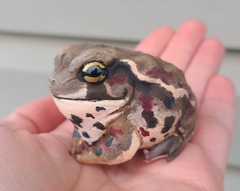 Toad Friend- Bufo gargarizans Hand painted Resin Toad Figurine - Cute Desk Pet  Sculpture
