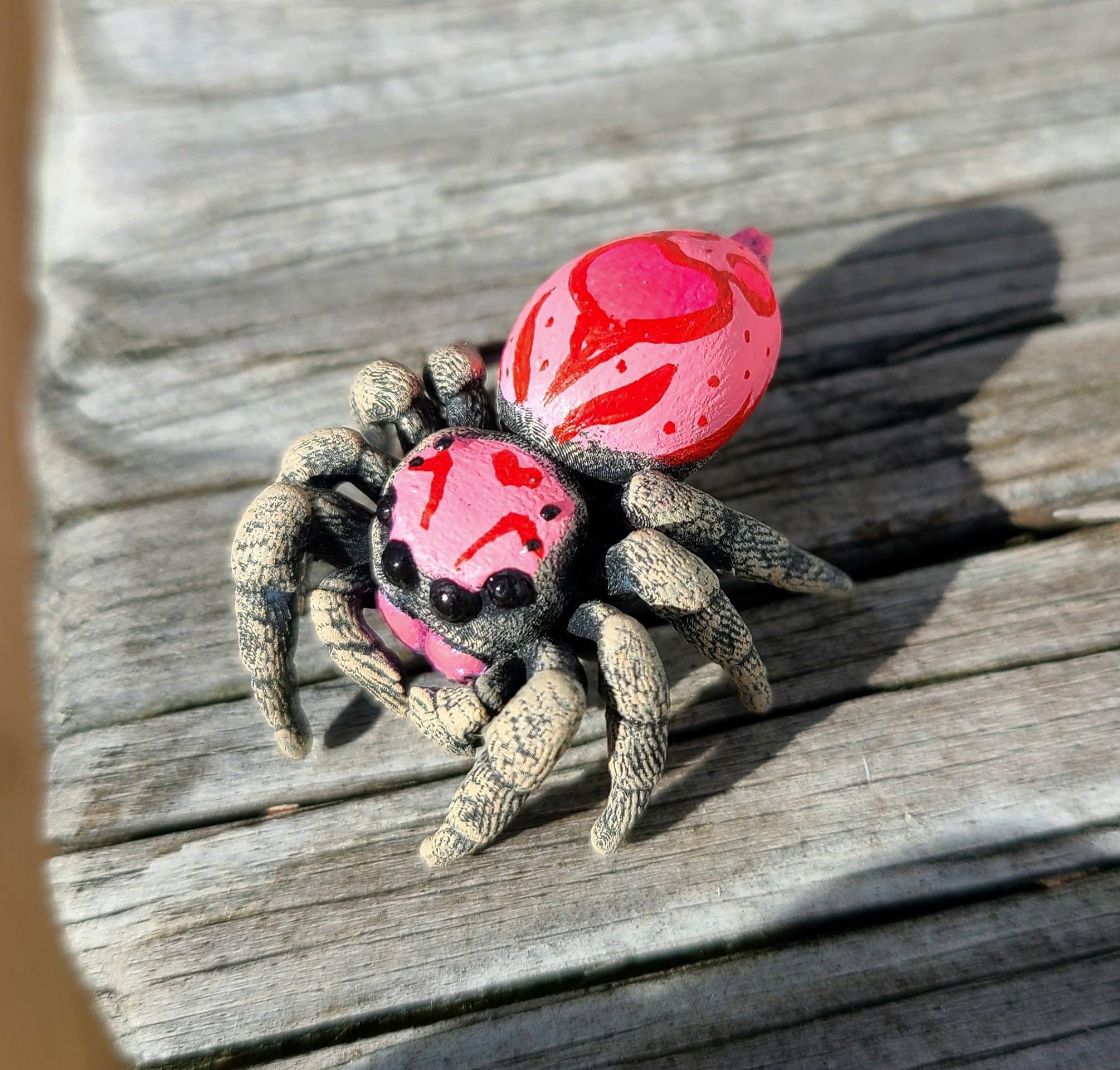 Pink Regal Jumping Spider Figure - Fantasy Phidippus Regius - Hand