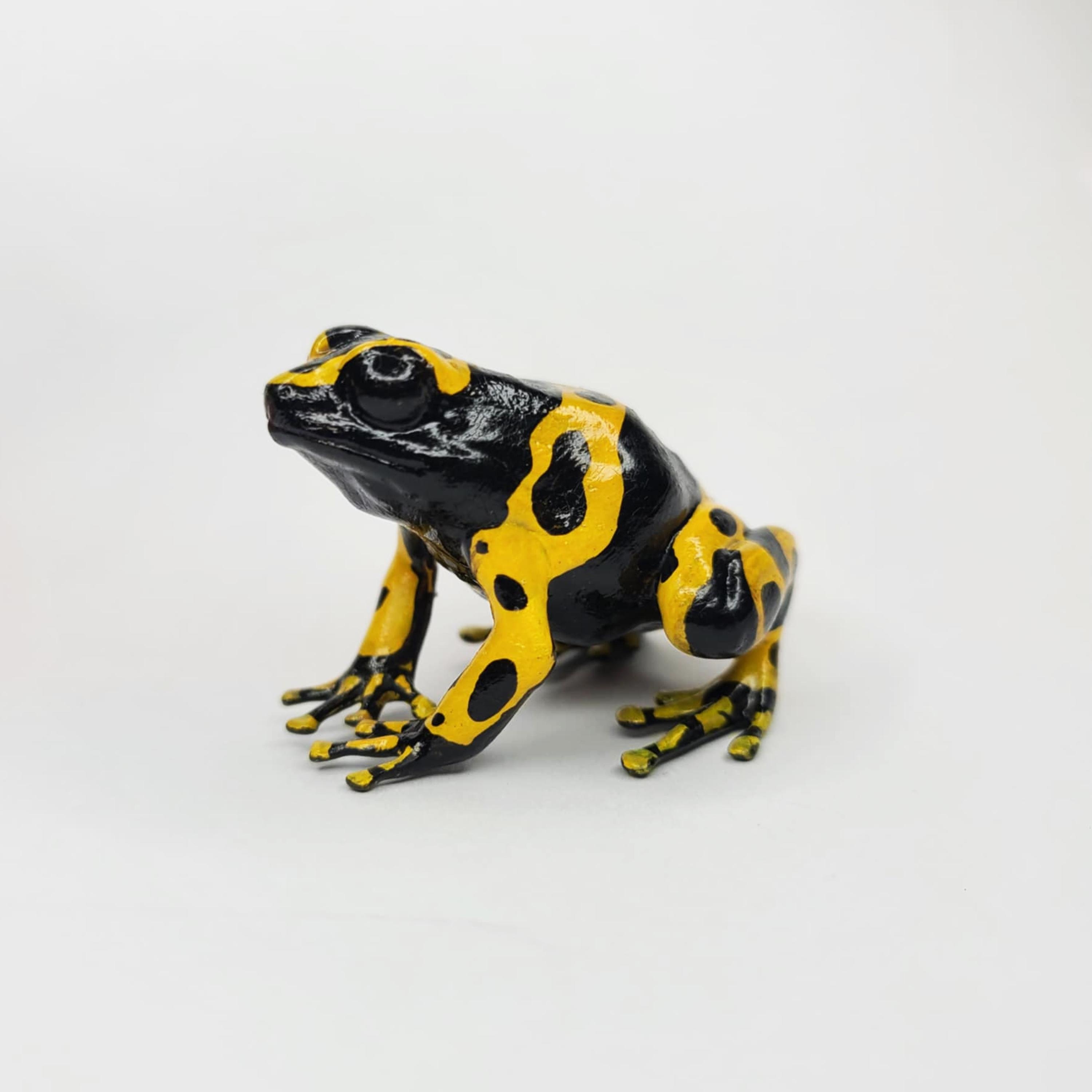 バンブルビー・ダートフロッグ - 手描き樹脂製カエルの置物 - Etsy 日本