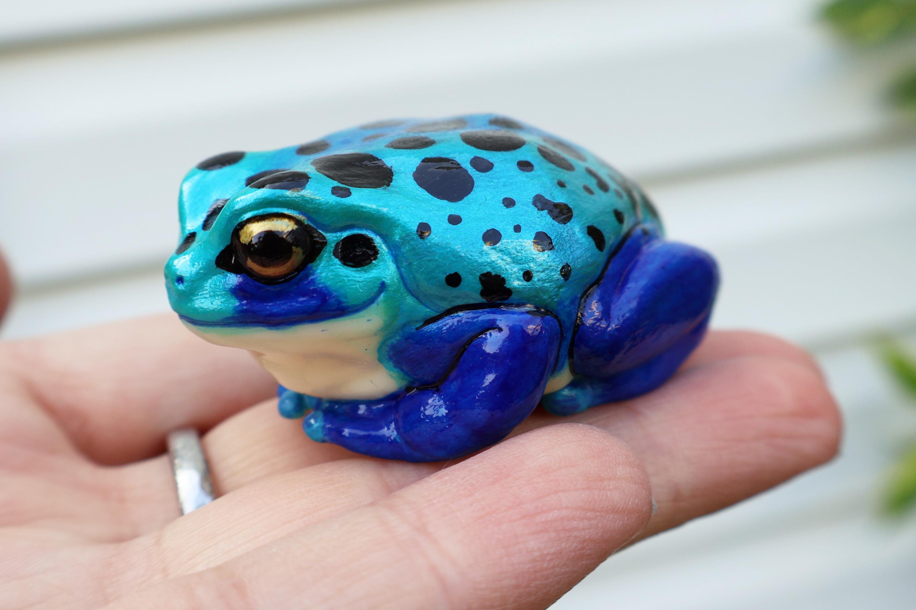 ダンピー ダート フロッグ - カエル ナゲット - ポイズン アンド