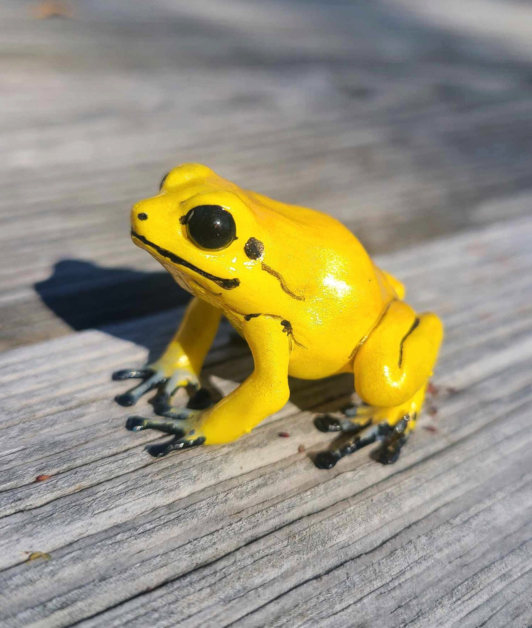 ゴールデンダートフロッグ - 手描き樹脂製カエルの置物 - Etsy 日本