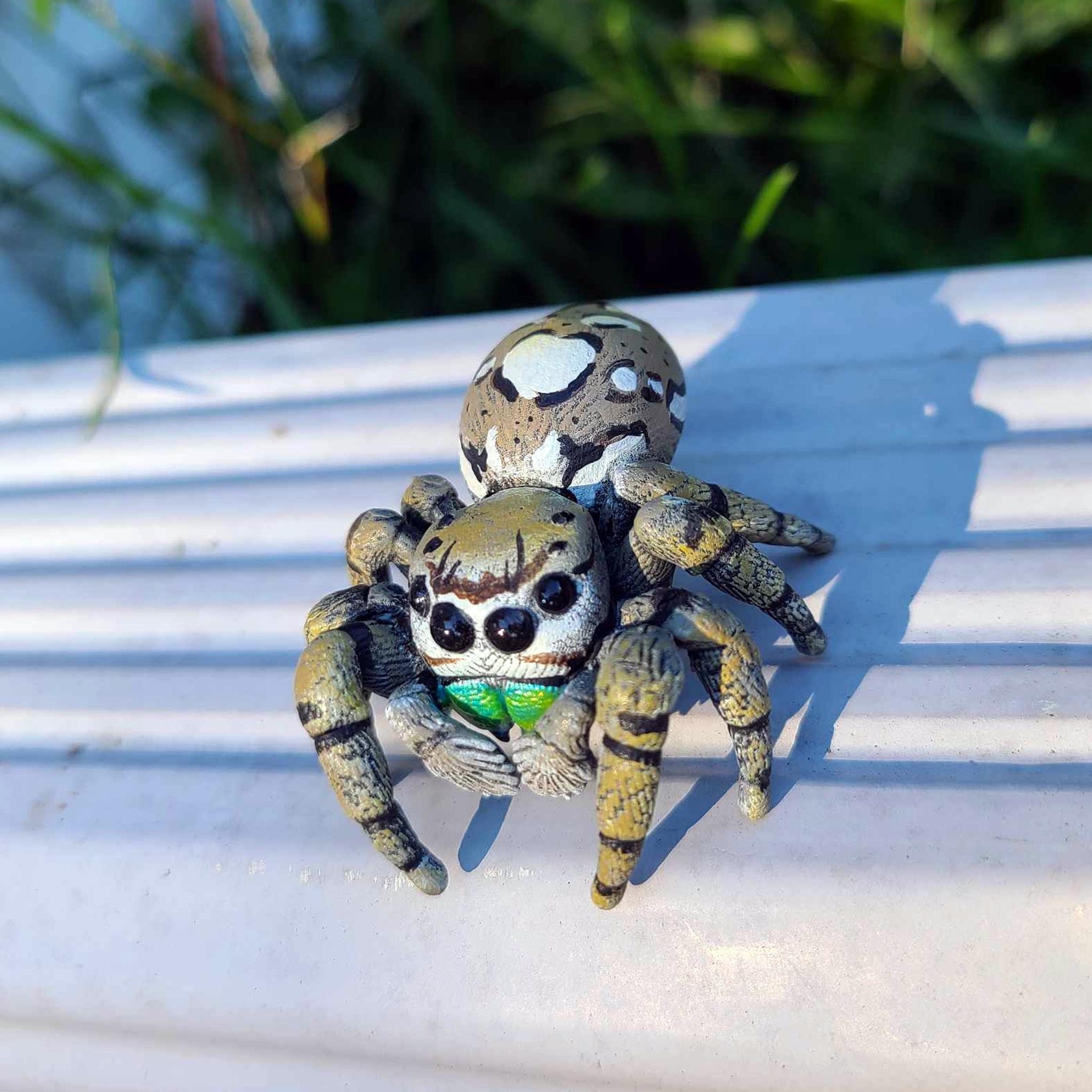 カロライナハエトリグモのフィギュア - Phidippus carolinensis