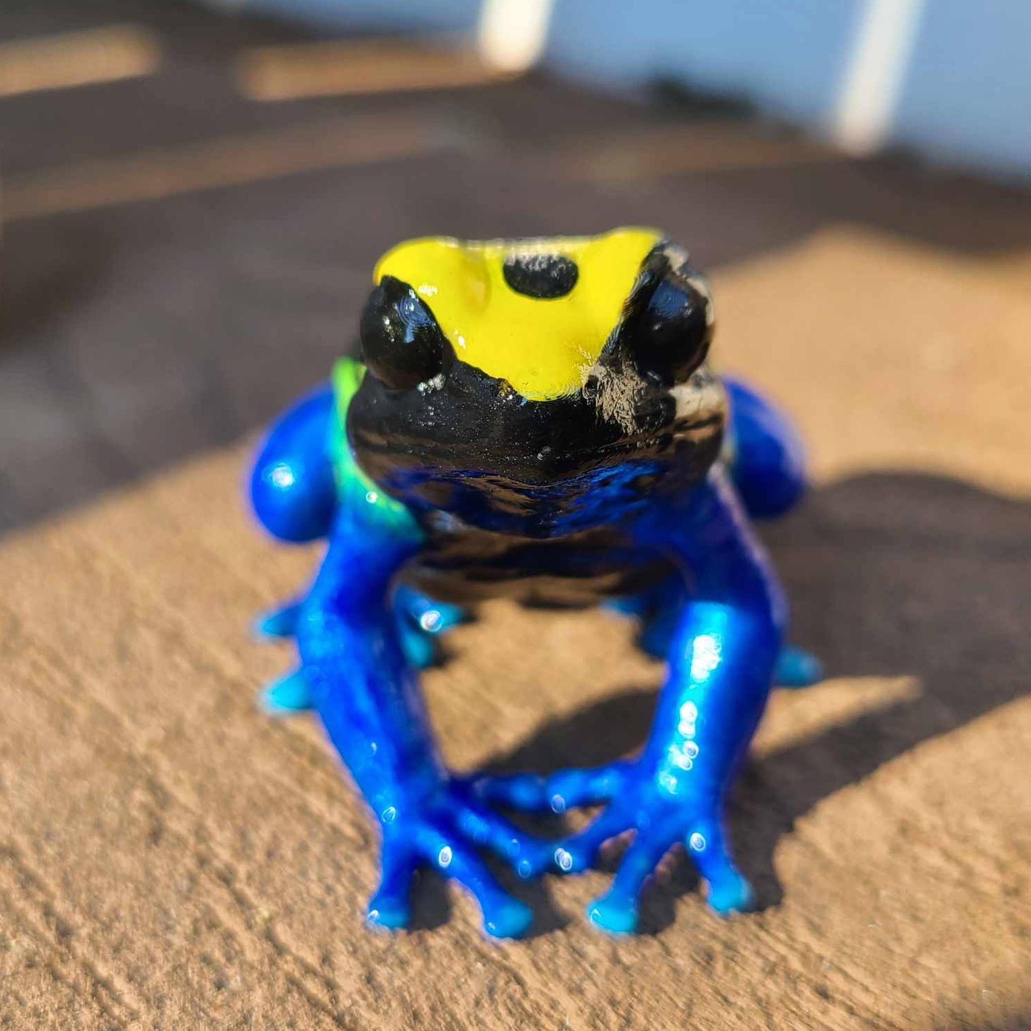 コバルトヤドクガエル（Dendrobates tinctorius） - 手描き樹脂製