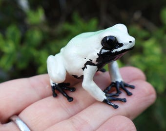 ヤドクガエルの置物 - 手描き樹脂製カエルの置物 - さまざまな