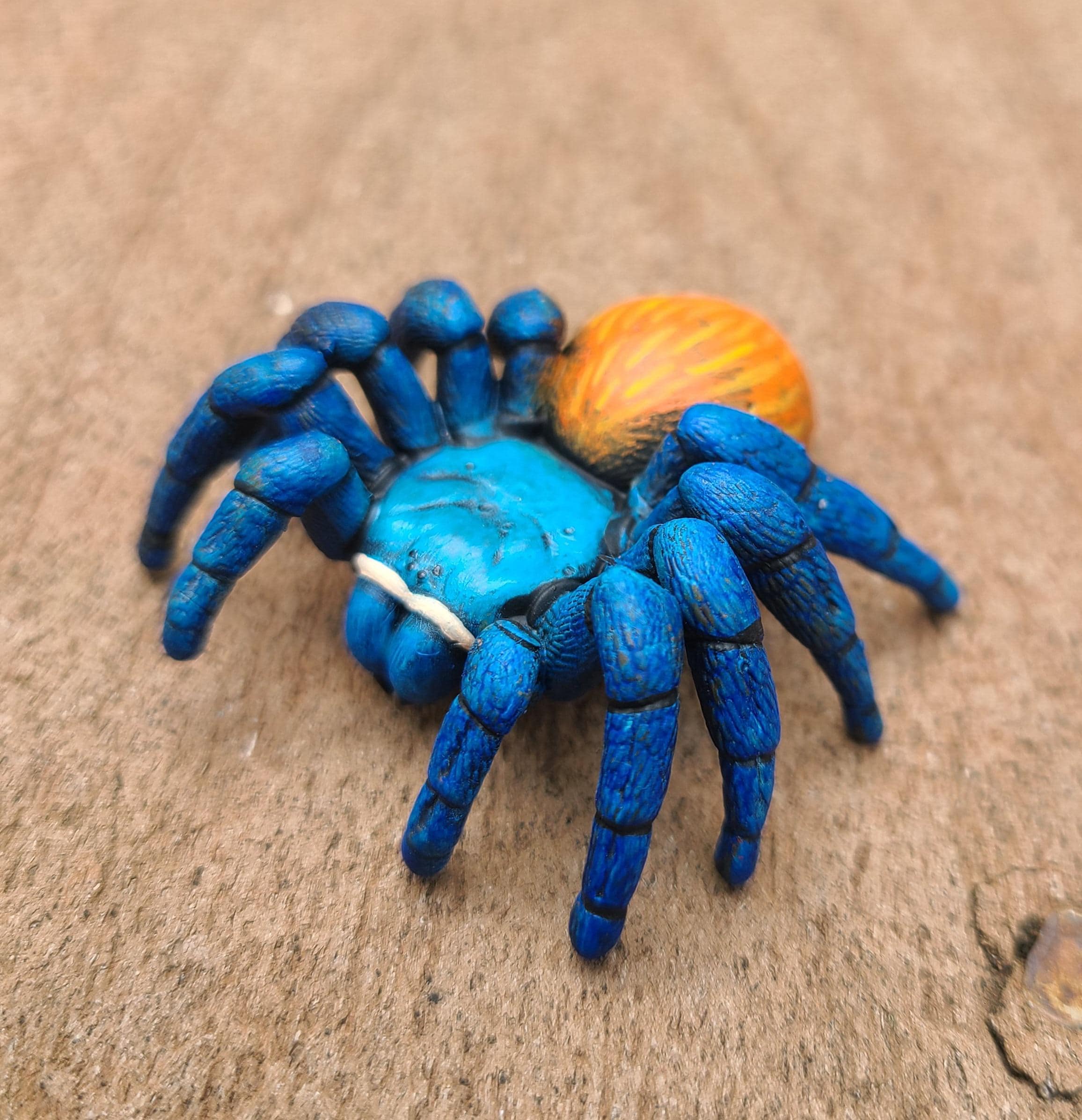 グリーンボトルブルータランチュラ - Chromatopelma cyaneopubescens