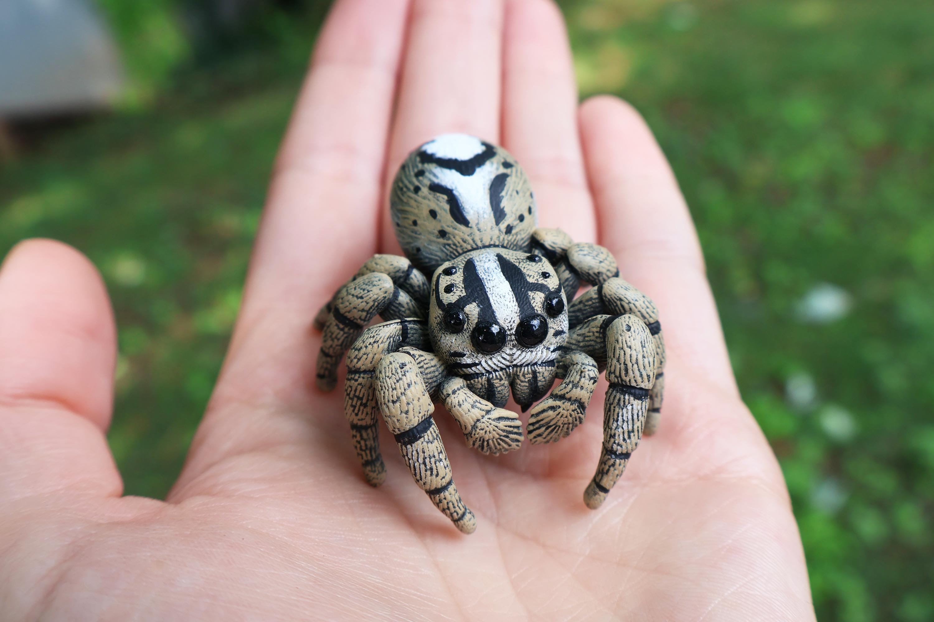 Heavy Jumping Spider Figure - Hyllus Diardi - Hand Painted Resin